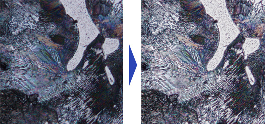 無論是暗視場影像還是DIC影像，“HDR”都可以一鍵完成清晰觀察。